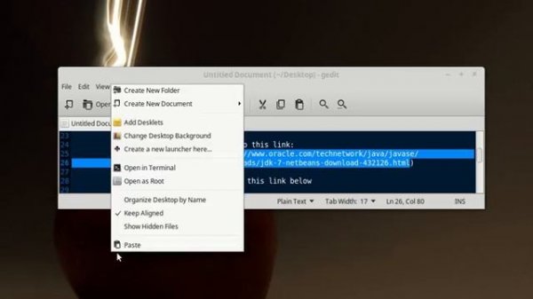 Netbeans install on linuxmint 2016