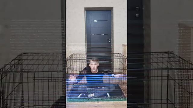 Разбор клетки для собак №5 смотреть онлайн