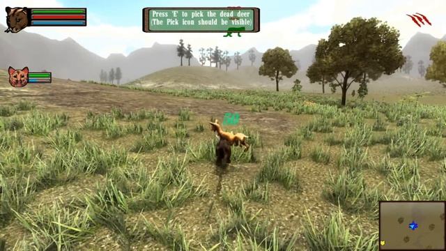 Into the Wild Forests!! || Untamed: Life As a Cougar - Episode #1 смотреть онлайн