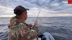 Отдых с палатками на Ладоге. Как ловить судака на Ладоге в шторм.