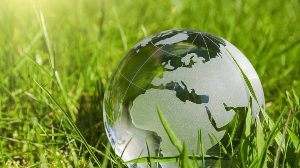 Экология сообществ (часть 2)