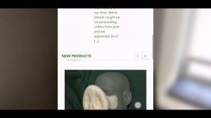 ЧЕЛОВЕК-ВОРОНА(дельфин) из Тик Тока/Кто это?/ Разоблачение/erlaXa