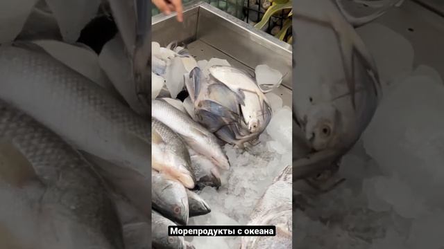 Морепродукты с океана Бангладеш ?? #bangladesh #дакка #поехавшие #путешествия #гринсити #аэс смотреть онлайн