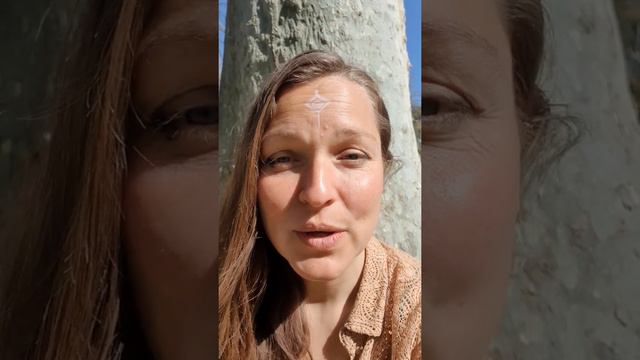Rencontre Nouvelle Terre & Codes Galactiques de Déploiement смотреть онлайн