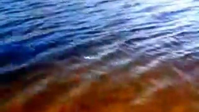 Чайка рыбку съела смотреть онлайн