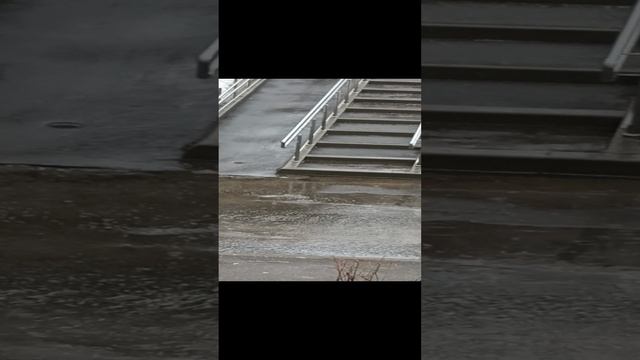 VID_20230324_122740.mp4 смотреть онлайн