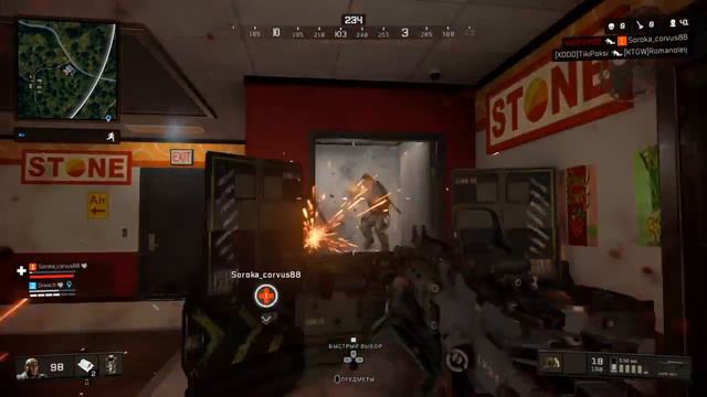 Call of Duty®: Black Ops 4 Стена против сортирных крыс ;) смотреть онлайн