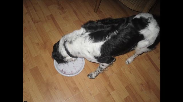 foto verhaal van twister смотреть онлайн