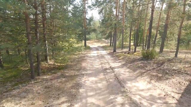 Сплав по реке Большая Кокшага. Август 2022 года. Часть 2 смотреть онлайн