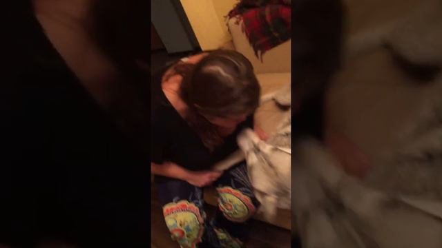 Хаски воет. Хаски верный друг смотреть онлайн