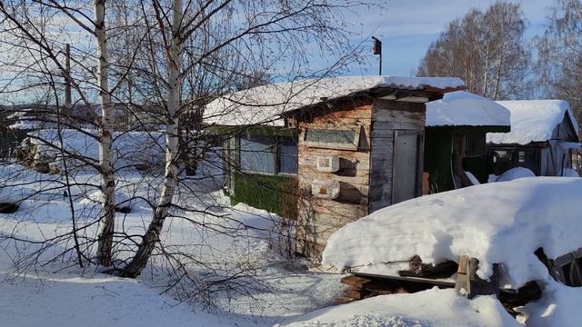 синички любят семечки смотреть онлайн