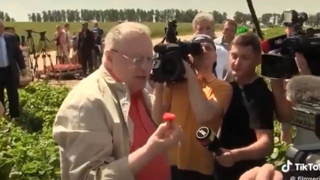Top 5 Vladimir Zhirinovskiy смотреть онлайн