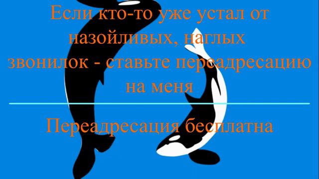 Антиколлектор Елена. Маэстро и конечно я))) Банки/МФО/Коллекторы смотреть онлайн