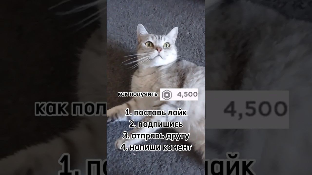 #shorts #sounds #recommended #4k #4kvideo #беззвука #интересно #2024 #нг #имялуна #games #proof смотреть онлайн