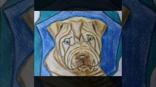 How to draw a dog. Shar pei/Как нарисовать собаку. ШАРПЕЙ. смотреть онлайн