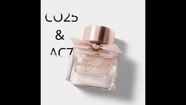 كوبون خصم قولدن سنت( AC7 & ACADY & AC797 & ACO03) смотреть онлайн