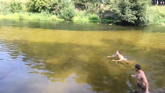 Зачем Турция?Свиньи сели и поплыли! смотреть онлайн