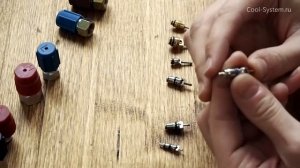 Заправочный порт автомобильного кондиционера: ниппель, колпачок порта. Особенности и различия.