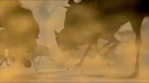 Смерть Муфасы (ENGLISH)| 1994