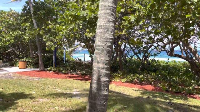 Очень классный парк. GulfStream park, Delray Beach, Florida смотреть онлайн