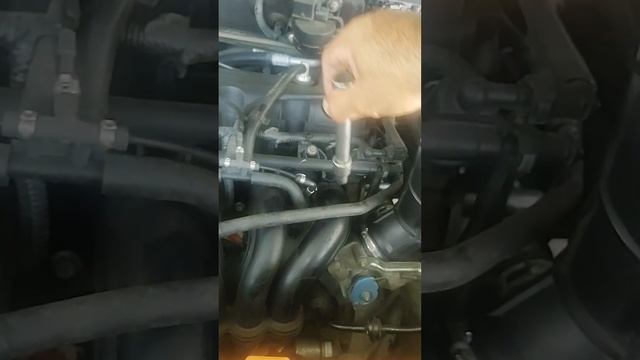 vazamento de água no selo do cabeçote Ford Focus motor Zetec Rocam 1.6 смотреть онлайн