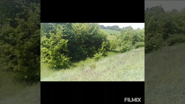 ЗМЕИНЫЙ ВАЛ село Барахты Васильковский район Киевская область Украина Дача  в  Барахтах