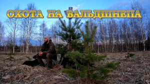 ОХОТА НА ВАЛЬДШНЕПА. 4К