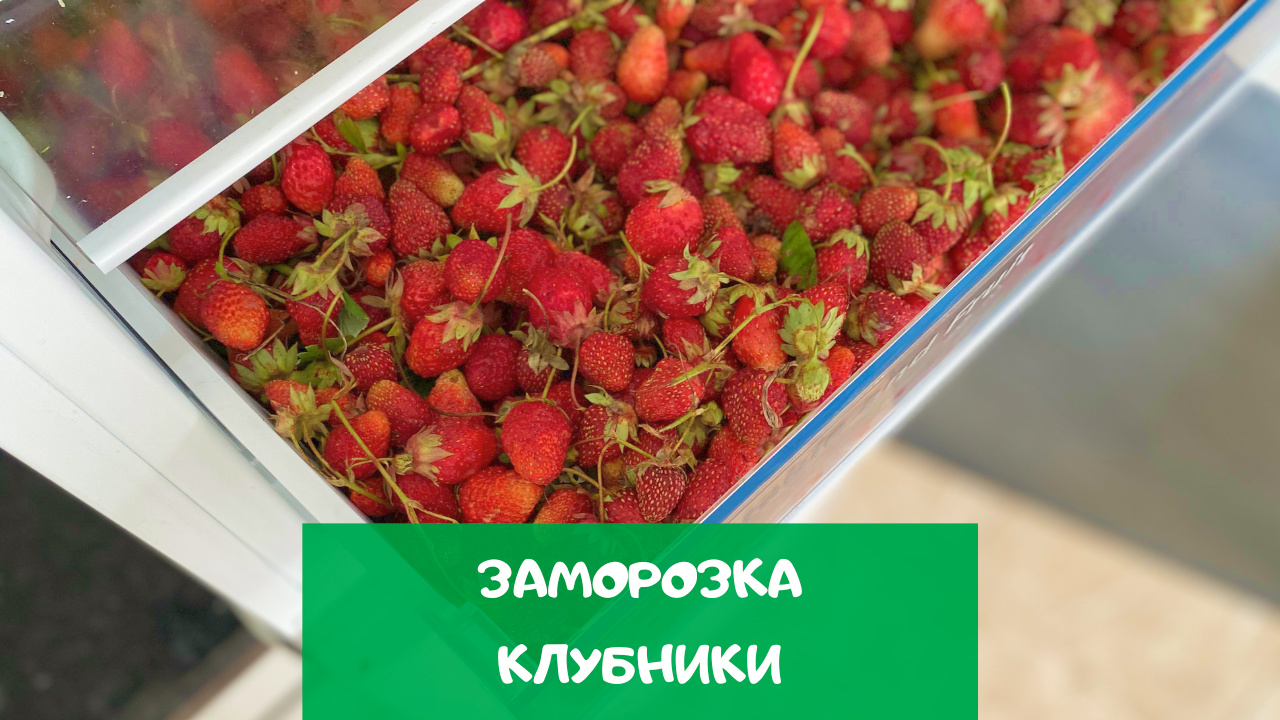 Заморозка клубники: 3 способа