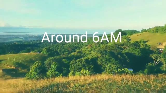 Grassland walkthrough смотреть онлайн