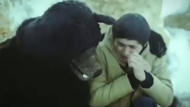 Тает Лёд Породия от Якутска смотреть онлайн