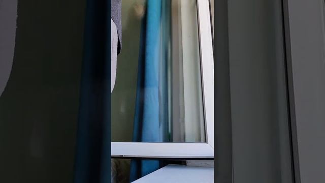 Как помыть быстро и чисто окно смотреть онлайн