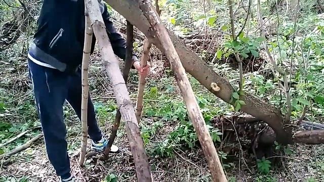 Что делать в незнакомом лесу? Делаю укрытие смотреть онлайн