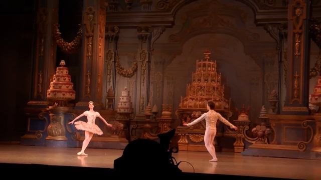 Сергей Полунин, Ксения Рыжкова, Щелкунчик, кода смотреть онлайн