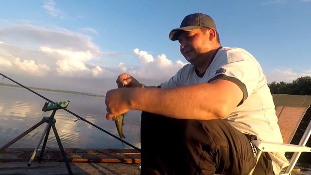 Рыбалка На Дикой Красивой Реке. Рыбалка на донки в начале сентября на сладкий пенопласт. смотреть онлайн