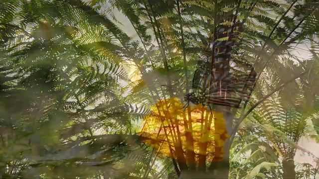 Плейлист Yiruma Piano Playlist - Лучшие песни Yiruma для фортепиано -Альбом лучших песен Yiruma 202