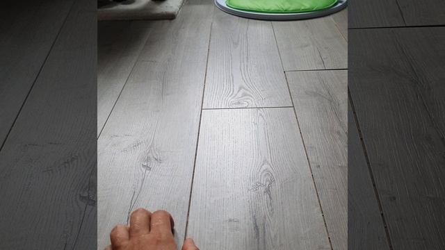 Милые котики