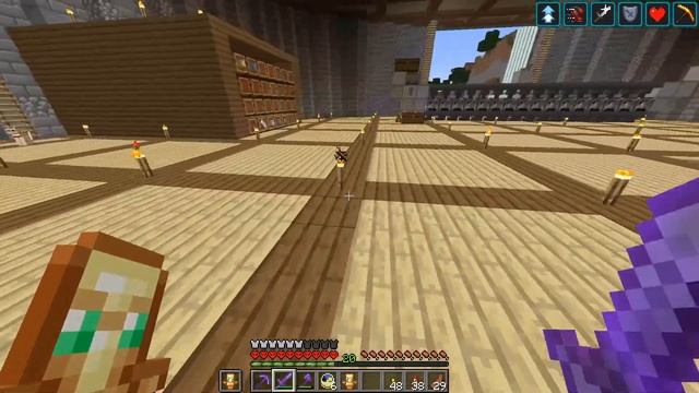 MINECRAFT HARDCORE SURVIVAL Series Day 900 | Cats, Wolfs & The End | Java Edition 1.16.4 Vanilla смотреть онлайн
