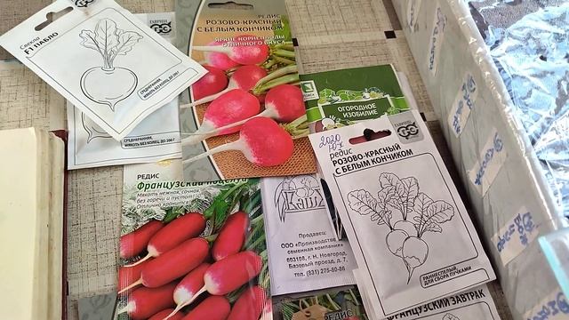 СЕКРЕТЫ ВЫРАЩИВАНИЯ РЕДИСА! смотреть онлайн