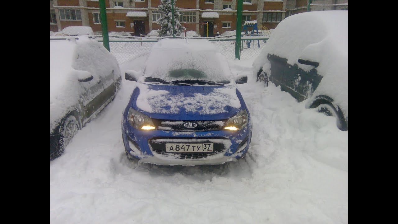 Калина в снежном плену