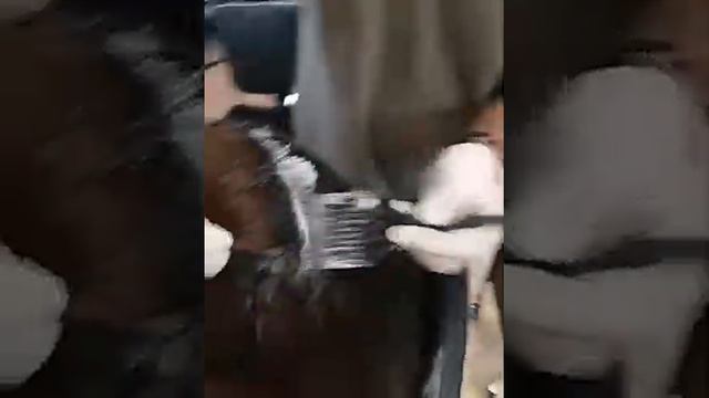 Окрашивание корней смотреть онлайн