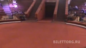 Цирк на Цветном Бульваре схема зала партер