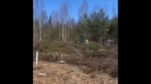 Как выглядит Идеальная Расчистка участка СПб / как расчистить участок / расчистка от деревьев /