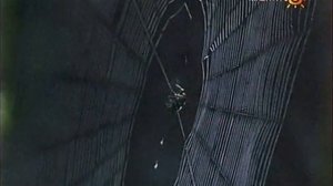 Круговорот азота, углерода, воды, фосфора и серы