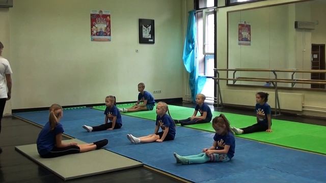 видео урок по гимнастике, преподаватель Гарина Е.В. смотреть онлайн