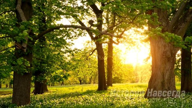 Дочь долго решала, как поступить, а когда она явилась к ним на порог… смотреть онлайн