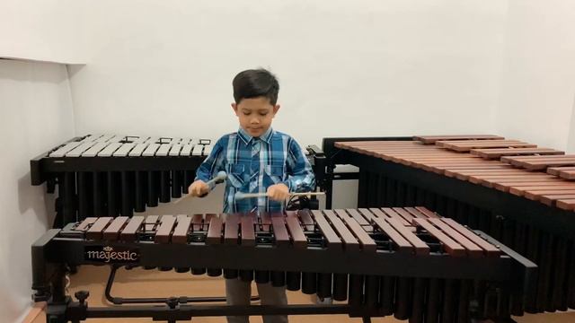 MAP-IMC 2021, Gioia Francesco M. De la Cruz, Xylophone, 8-10 y/o, Leroy Napier RAGGEDY RAGTIME RAGS смотреть онлайн