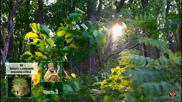 "НЕСВЯТЫЕ СВЯТЫЕ". Часть 3. 48. Повесть о епископе, впадшем в блуд. смотреть онлайн