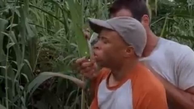 Anacondas Die Jagd nach der Blut Orchidee avi.mp4 смотреть онлайн