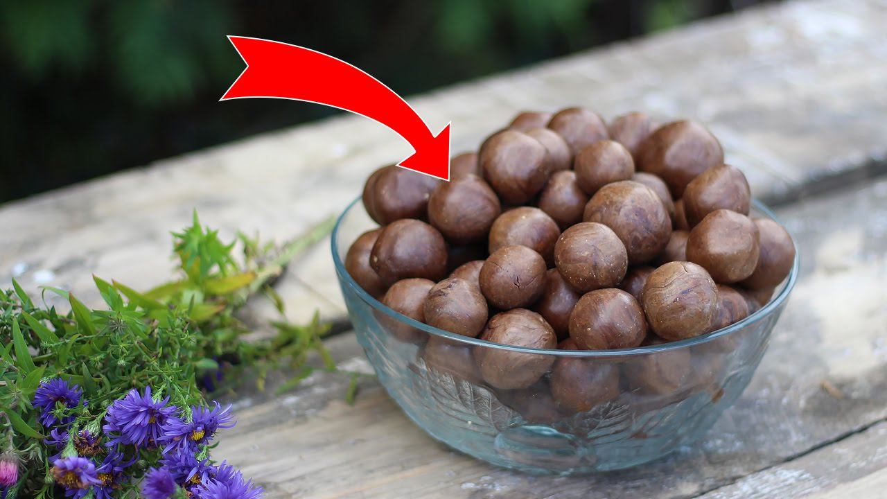 ПРОПОЛИС ПОЛЬЗА И ПРИМЕНЕНИЕ! ЛЕЧЕНИЕ ПРОПОЛИСОМ! смотреть онлайн