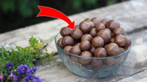 ПРОПОЛИС ПОЛЬЗА И ПРИМЕНЕНИЕ! ЛЕЧЕНИЕ ПРОПОЛИСОМ!